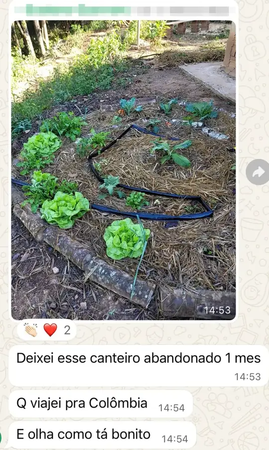 Mensagem de aluno: deixei esse canteiro abandonado 1 mês e olha como está bonito