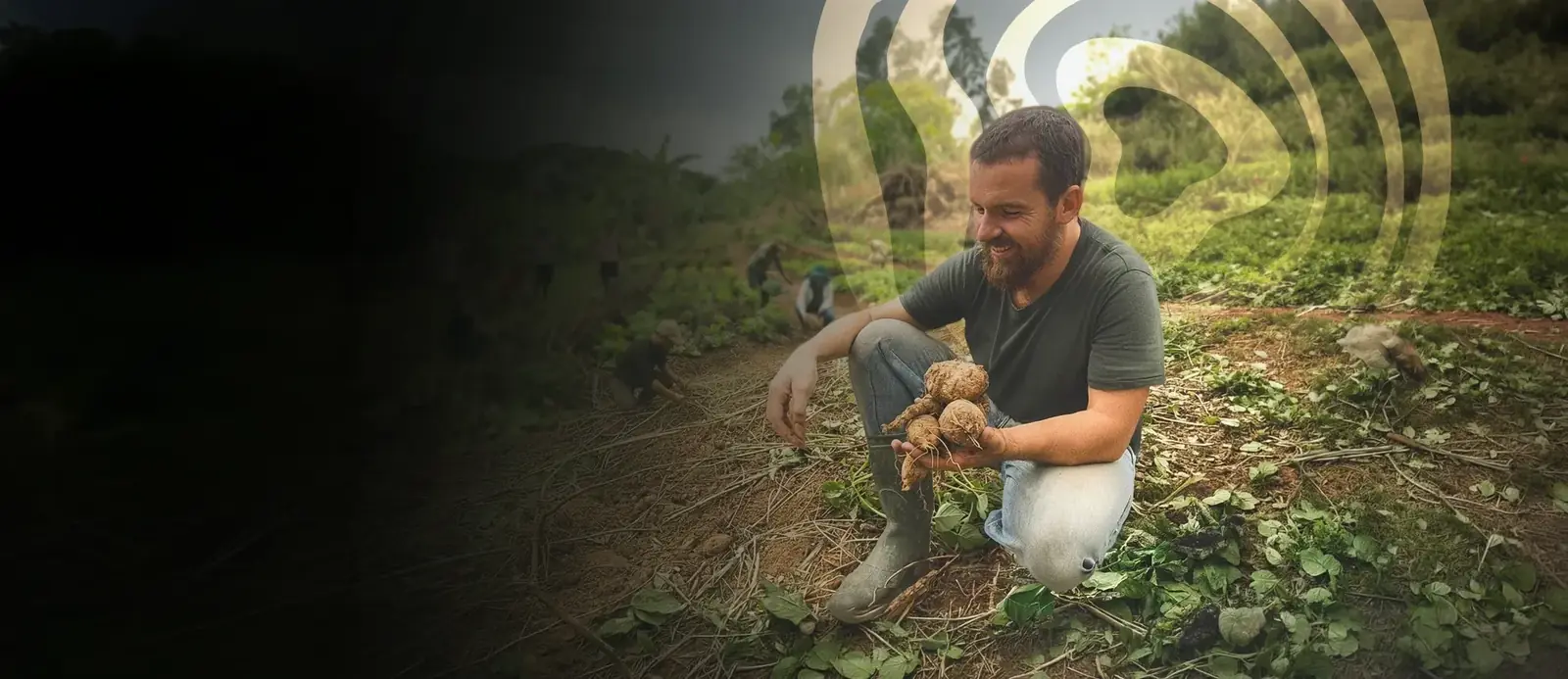 Namastê Messerschmidt colhendo raízes em uma agrofloresta