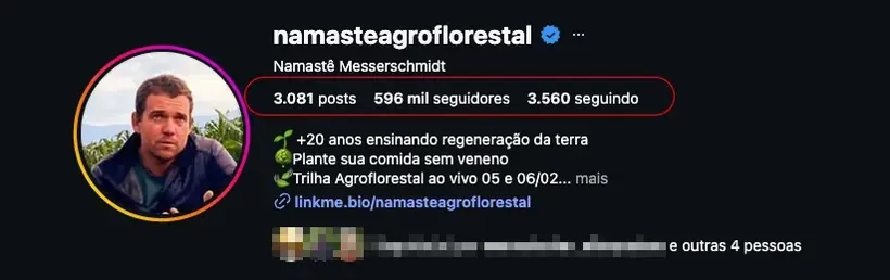 Perfil do Instagram @namasteagroflorestal