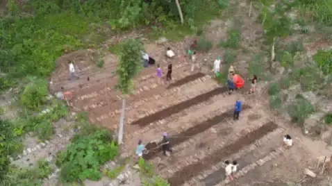 Vista aérea de alunos implantando canteiros agroflorestais