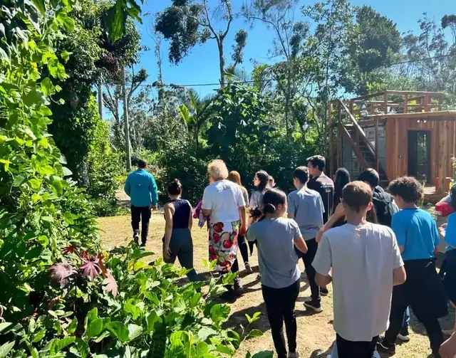 Turma caminhando por uma agrofloresta