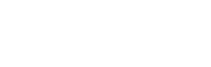 Solo Vivo